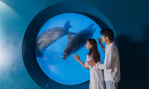 Qingdao Underwater World