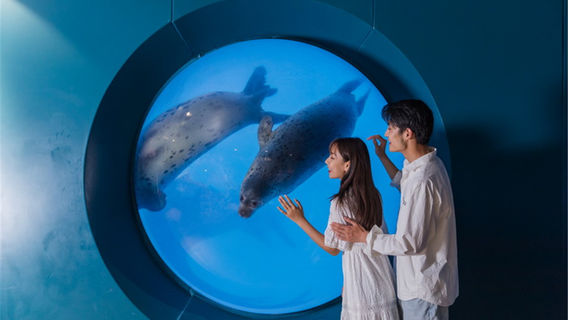 Qingdao Underwater World