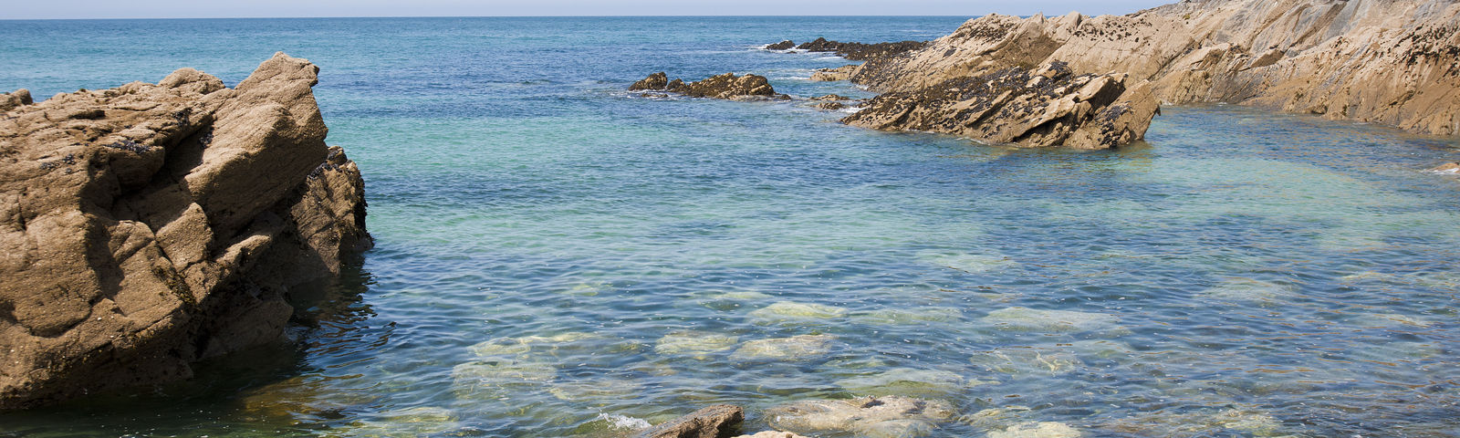 NewquayTours