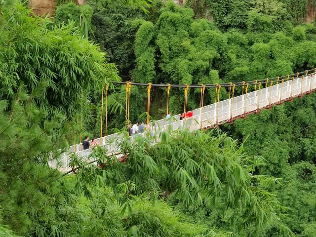 Bamboo Canyon Scenic Area (Jinji Valley)