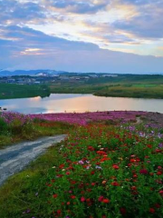 馬龍雲山湖花海景區