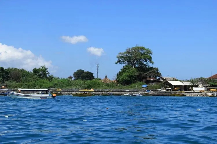 海龜島用戶評價