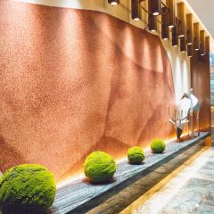 寻味顺德·珍之宝酒楼(银钻店) User Photo