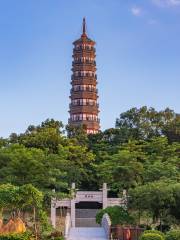 Башня Вонг Чжуа