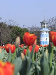 Zhoupu Sea of Flowers