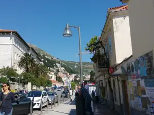 Bugenvila in Cavtat