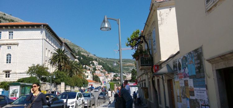 Bugenvila in Cavtat
