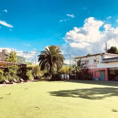 Little Darling Coffee Roasters User Photo