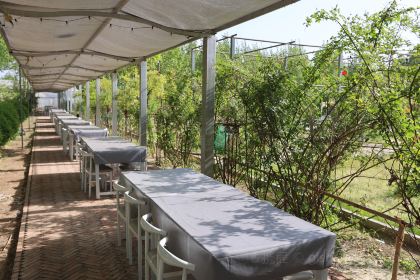 大厂鹄泮民宿·花园露天餐厅