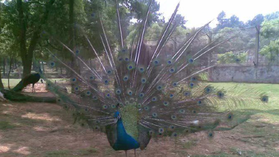 Lanke Shan Fengjingqu Jingxi Zoo