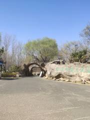 Wetland Park of Ancient Yellow River