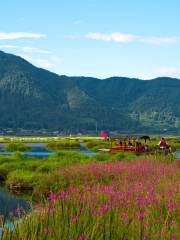 Beihai Wetlands