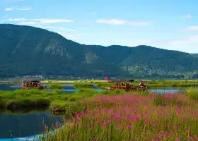 Beihai Wetlands