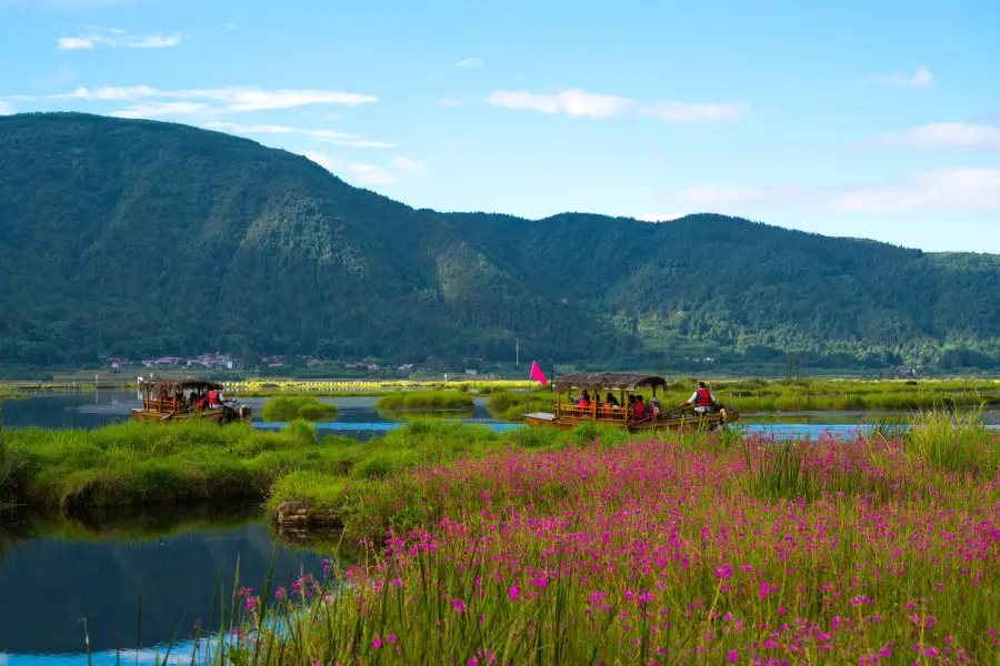 Beihai Wetlands