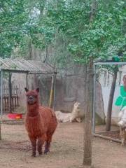 鐵嶺動物園