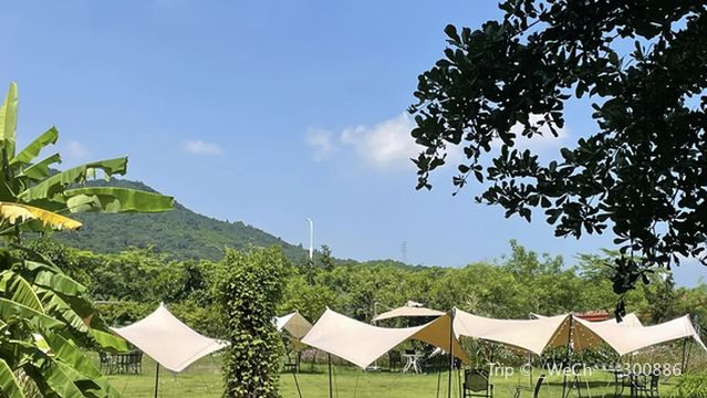 xiang cao yuan xing kong lu ying di