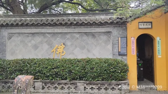 Locust in Green Courtyard, Qintong Ancient Town Tourist Area