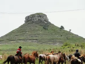 Cerro Batoví