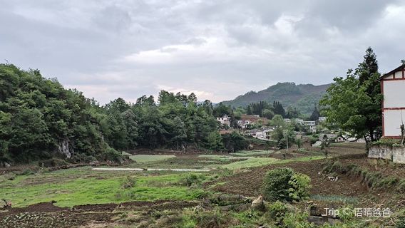Zhijin