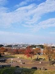 西油山中央公園 （シンデレラ公園）