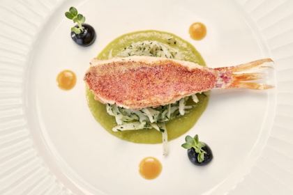 Metropolis Roof Garden