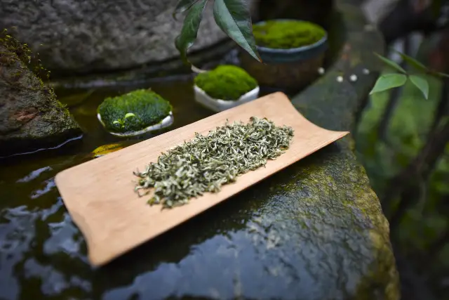 Suzhou Tea Tasting