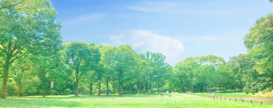 Daisen Park