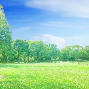 大仙公園