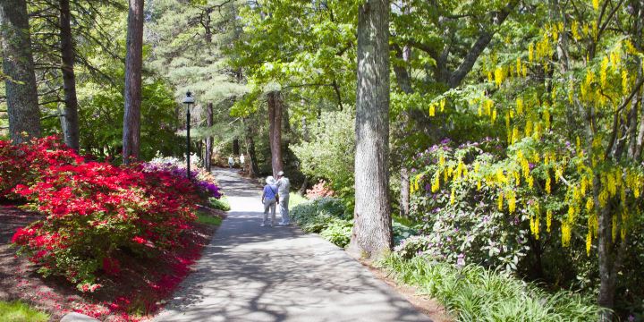 Heritage Museums & Gardens