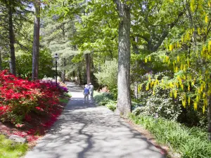 Heritage Museums & Gardens
