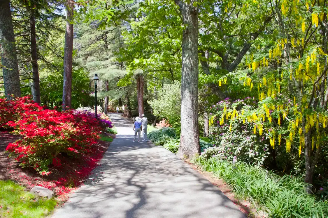 Hotels near Heritage Museums & Gardens