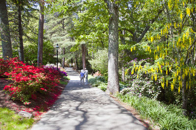 Heritage Museums & Gardens