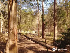Daisy Hill Conservation Park