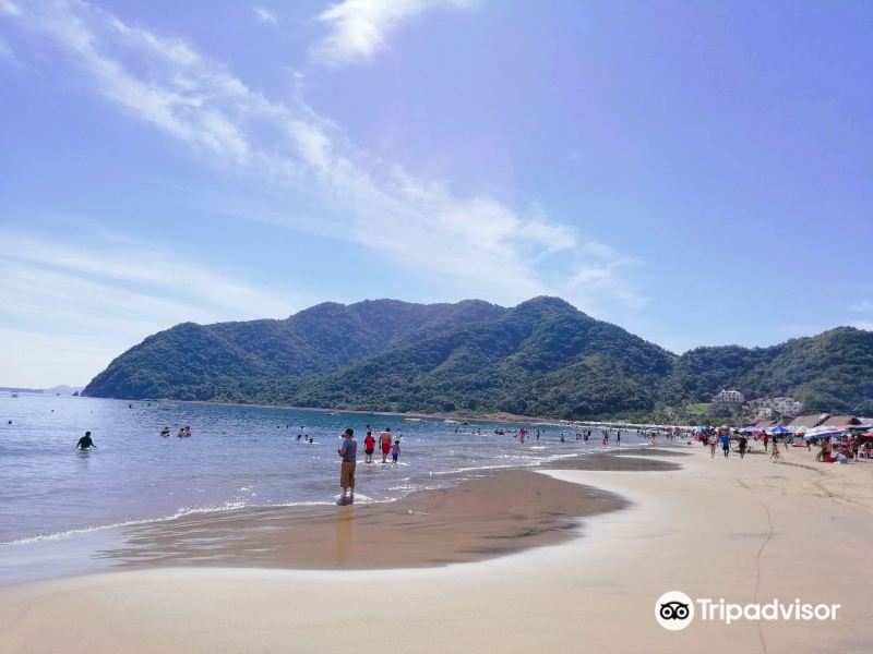Flüge San Pedro Sula Manzanillo