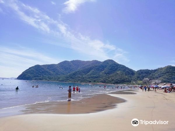 Pasco to Manzanillo flight