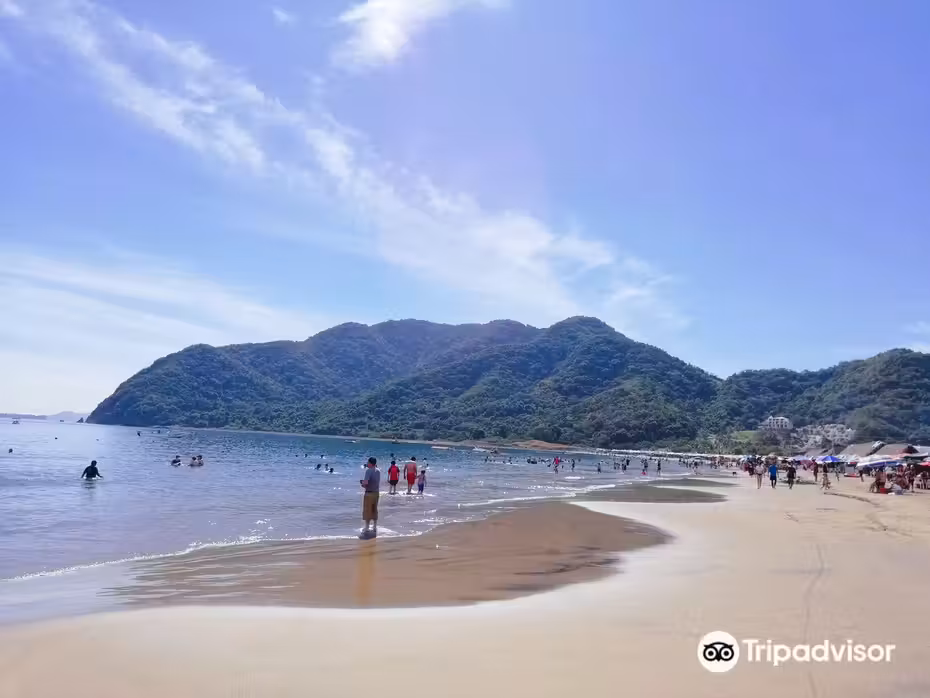 Vuelos ${{cityDName}} Manzanillo