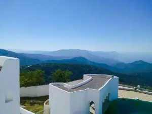 Green Main Street in Annaba