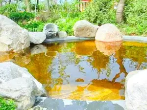 Hot Spring Bath House