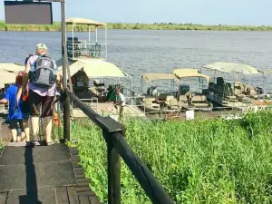 Chobe River Boat Cruises