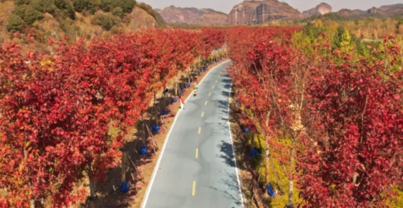 Fall Viewing Attractions