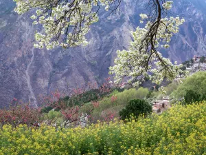 Jiaju Tibetan Village