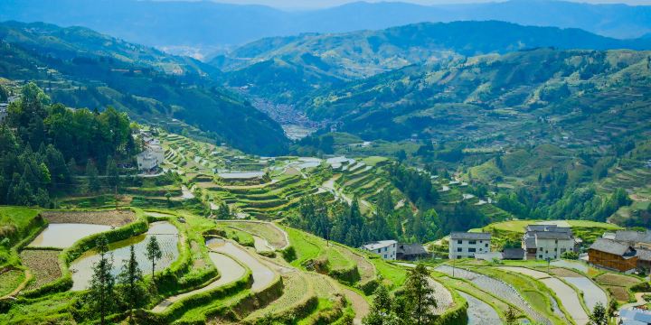Tang'an Terraced Fields