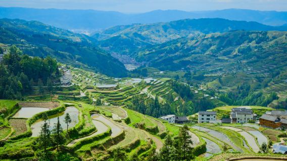 Tang'an Terraced Fields