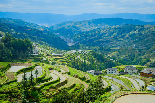 Tang'an Terraced Fields