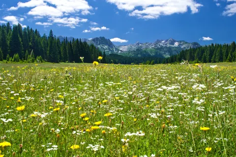 Durmitor National Park