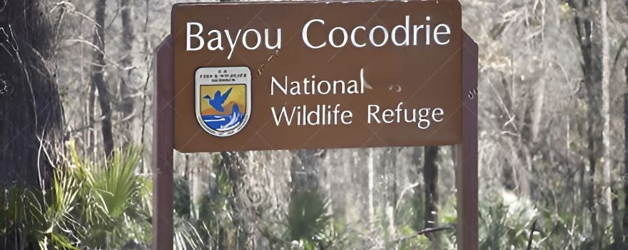 Bayou Cocodrie National Wildlife Refuge