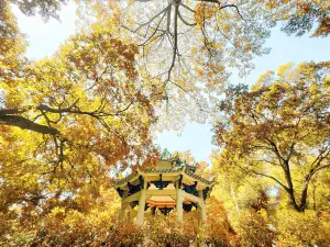 越秀公園