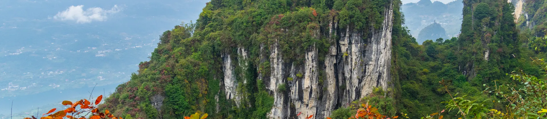 Fall Viewing Attractions