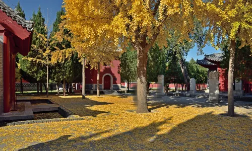Shijiazhuang Pilu Temple Museum