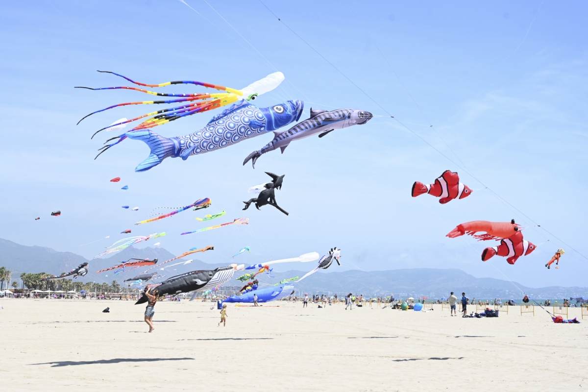 Castellón Kite Festival | Valencia